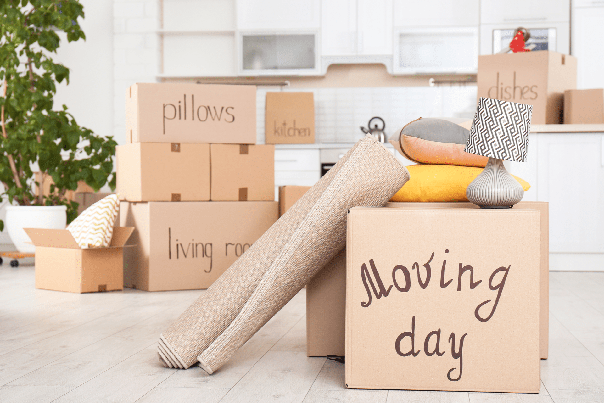 Packing Services and Moving Help in Dallas and Austin