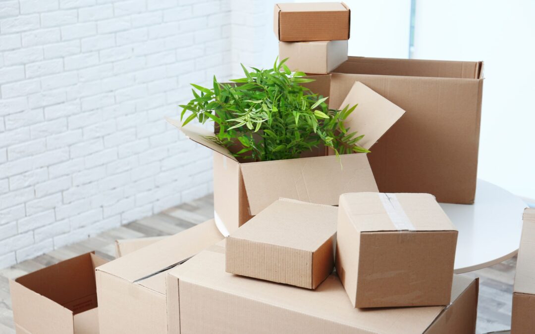 Top Tips for Moving Plants to Your New Home